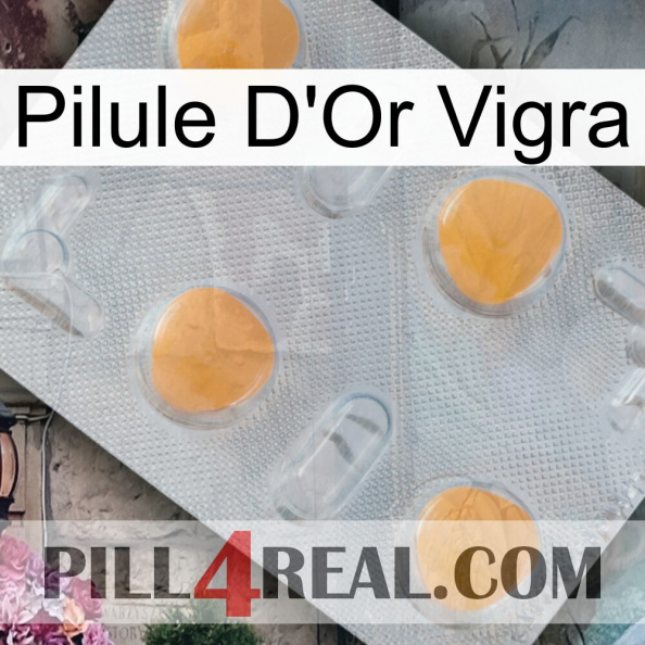 Vigra Gold Pill 24